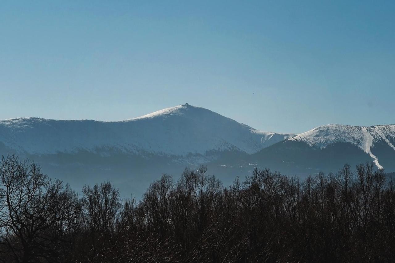 Villa Za Gorami, Za Lasami Myslakowice